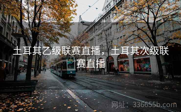 土耳其乙级联赛直播，土耳其次级联赛直播