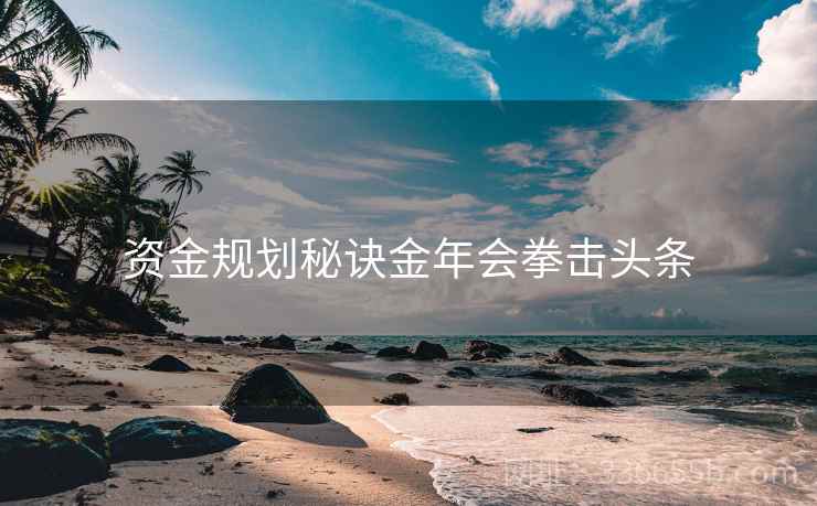 资金规划秘诀金年会拳击头条