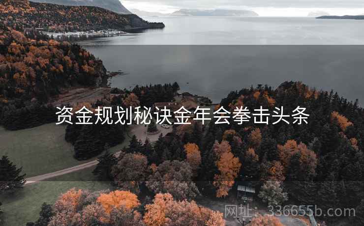 资金规划秘诀金年会拳击头条