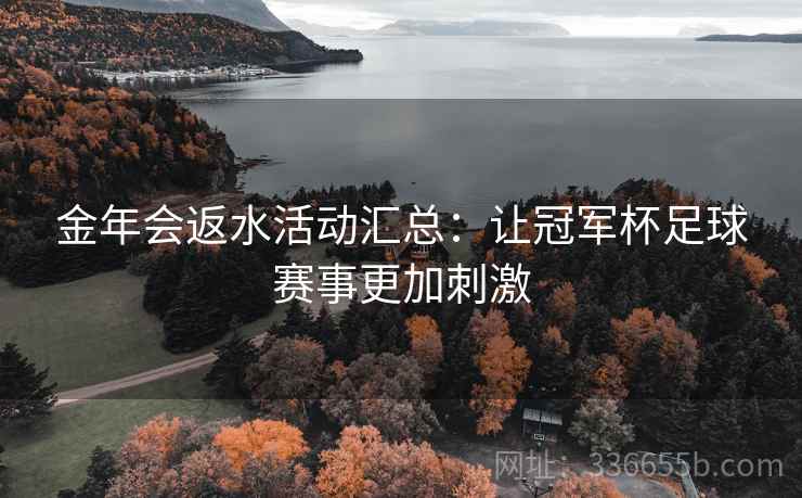 金年会返水活动汇总：让冠军杯足球赛事更加刺激