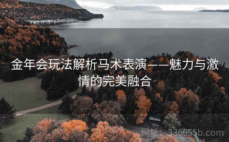 金年会玩法解析马术表演——魅力与激情的完美融合