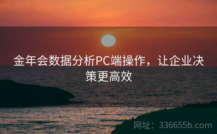 金年会数据分析PC端操作，让企业决策更高效