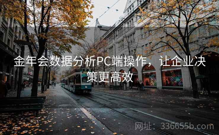 金年会数据分析PC端操作，让企业决策更高效