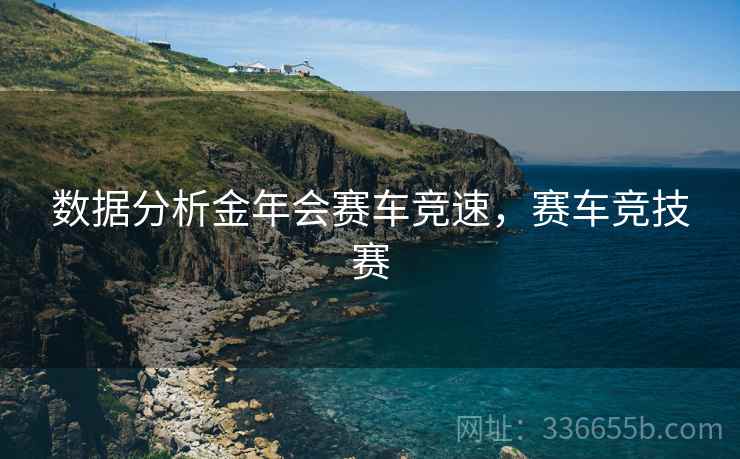 数据分析金年会赛车竞速，赛车竞技赛