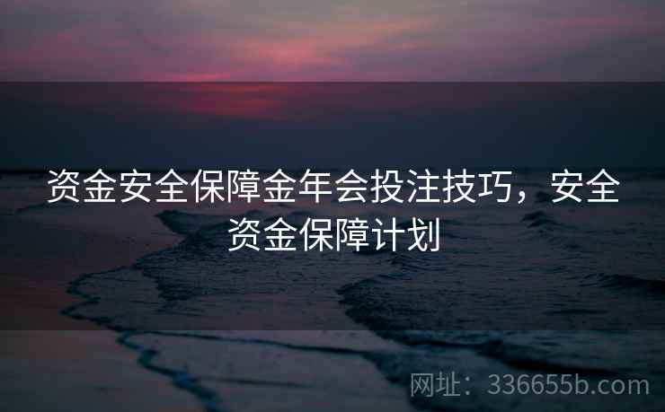 资金安全保障金年会投注技巧，安全资金保障计划