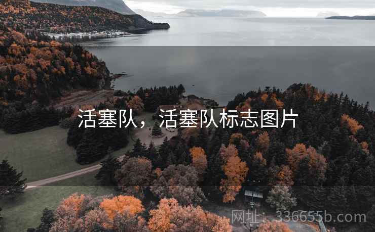 活塞队，活塞队标志图片