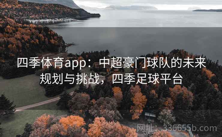 四季体育app：中超豪门球队的未来规划与挑战，四季足球平台