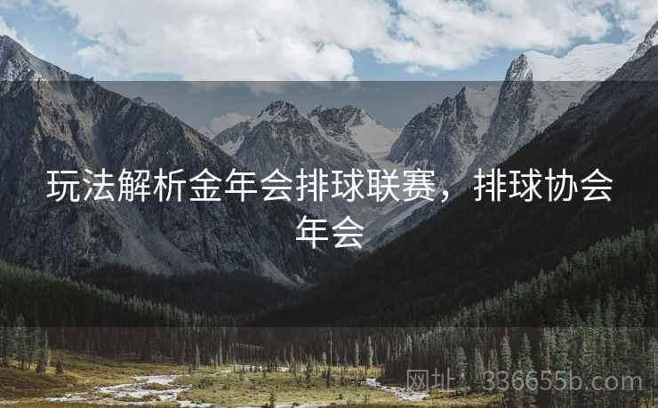 玩法解析金年会排球联赛，排球协会年会