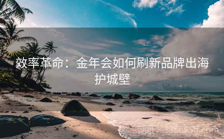 效率革命：金年会如何刷新品牌出海护城壁