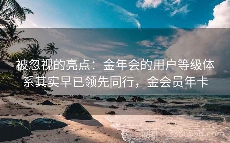 被忽视的亮点：金年会的用户等级体系其实早已领先同行，金会员年卡