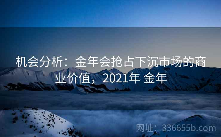 机会分析：金年会抢占下沉市场的商业价值，2021年 金年