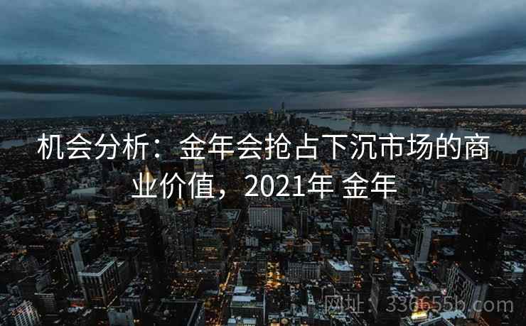 机会分析：金年会抢占下沉市场的商业价值，2021年 金年