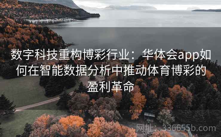 数字科技重构博彩行业：华体会app如何在智能数据分析中推动体育博彩的盈利革命