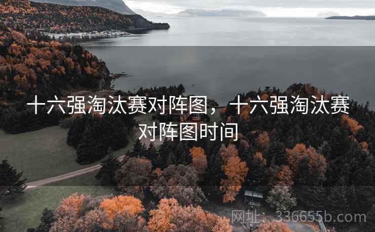 十六强淘汰赛对阵图，十六强淘汰赛对阵图时间